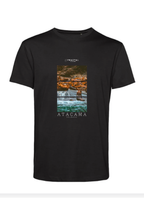 Polera Chañaral de Aceituno