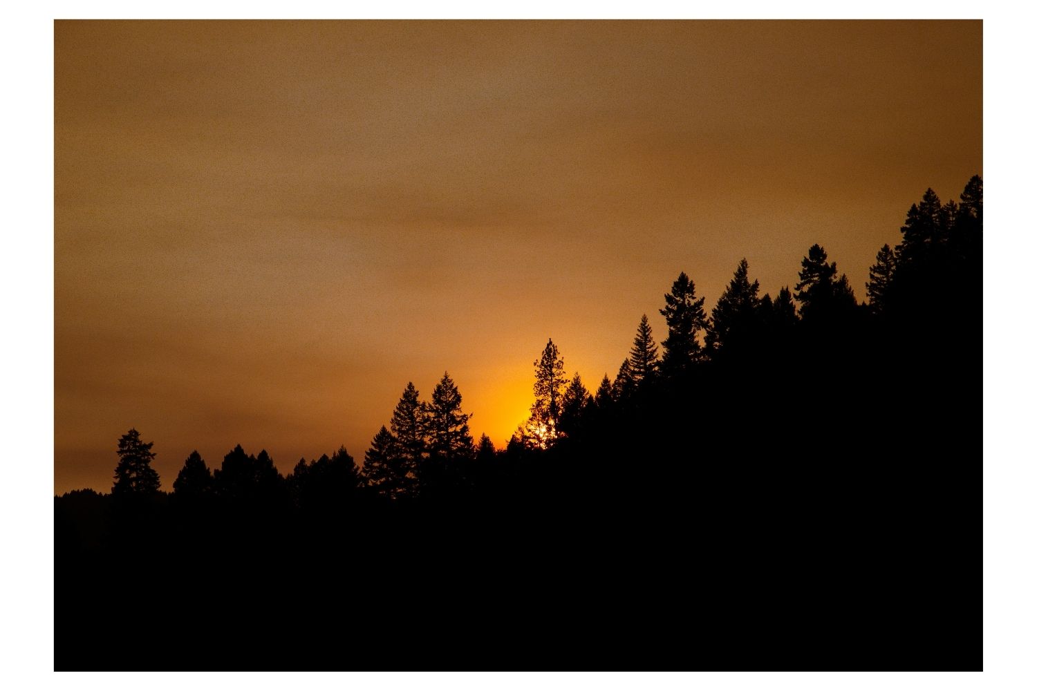 Garberville, California- Estados Unidos