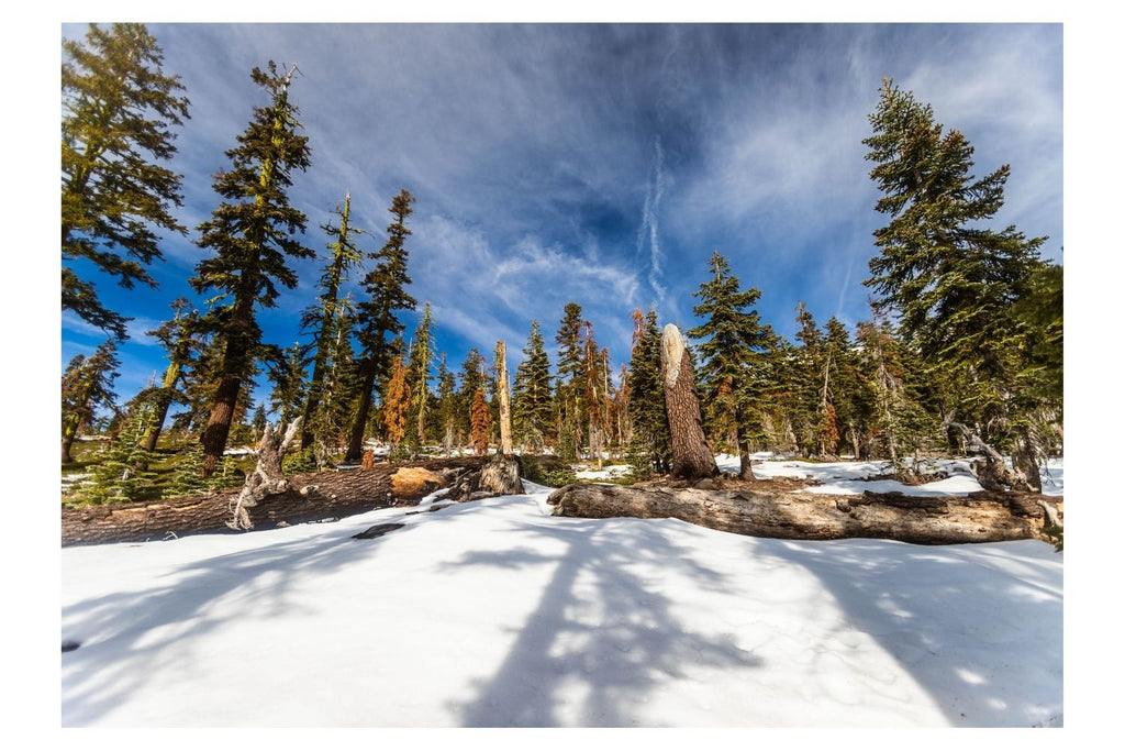 Monte Shasta, California- Estados Unidos