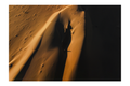 Sombras
