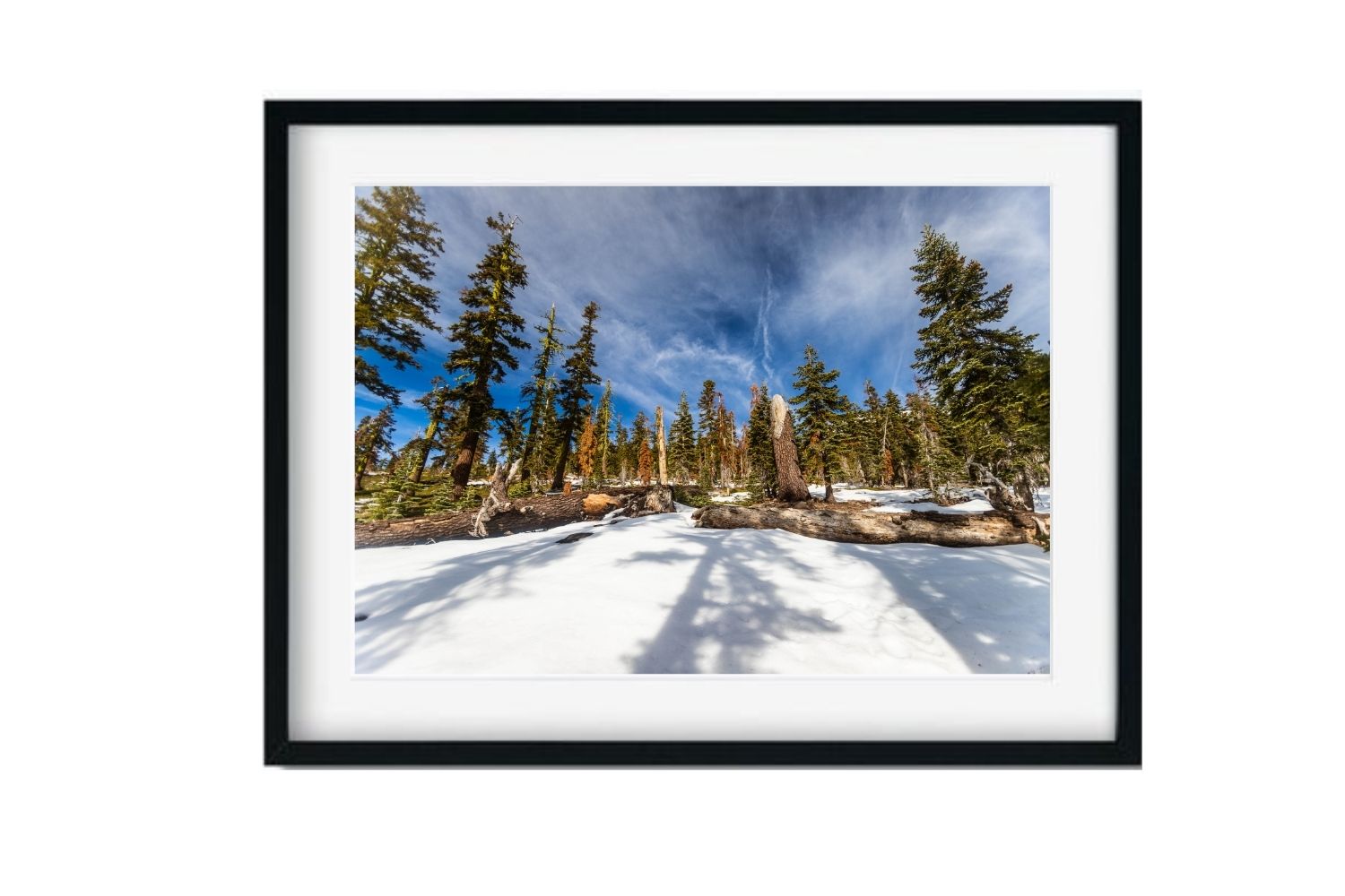 Monte Shasta, California- Estados Unidos