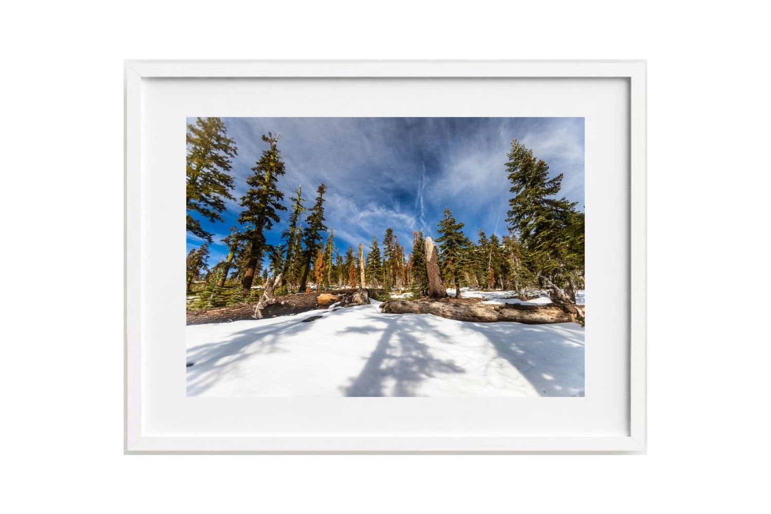 Monte Shasta, California- Estados Unidos
