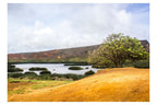 Laguna Rano Raraku, Rapa Nui, Chile