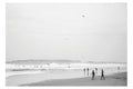 Playa Las Salinas, Caldera, Chile