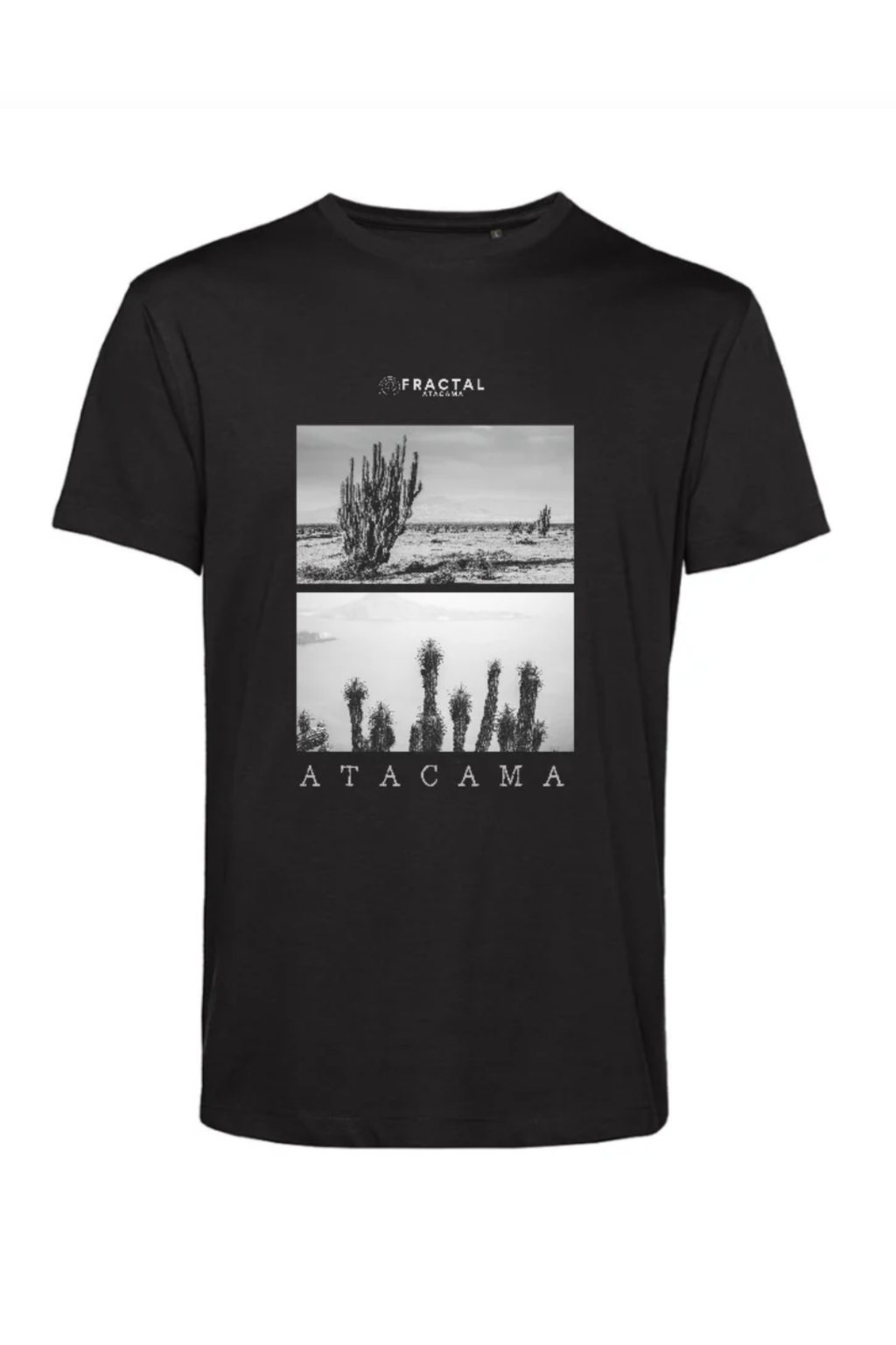 Polera Cáctus
