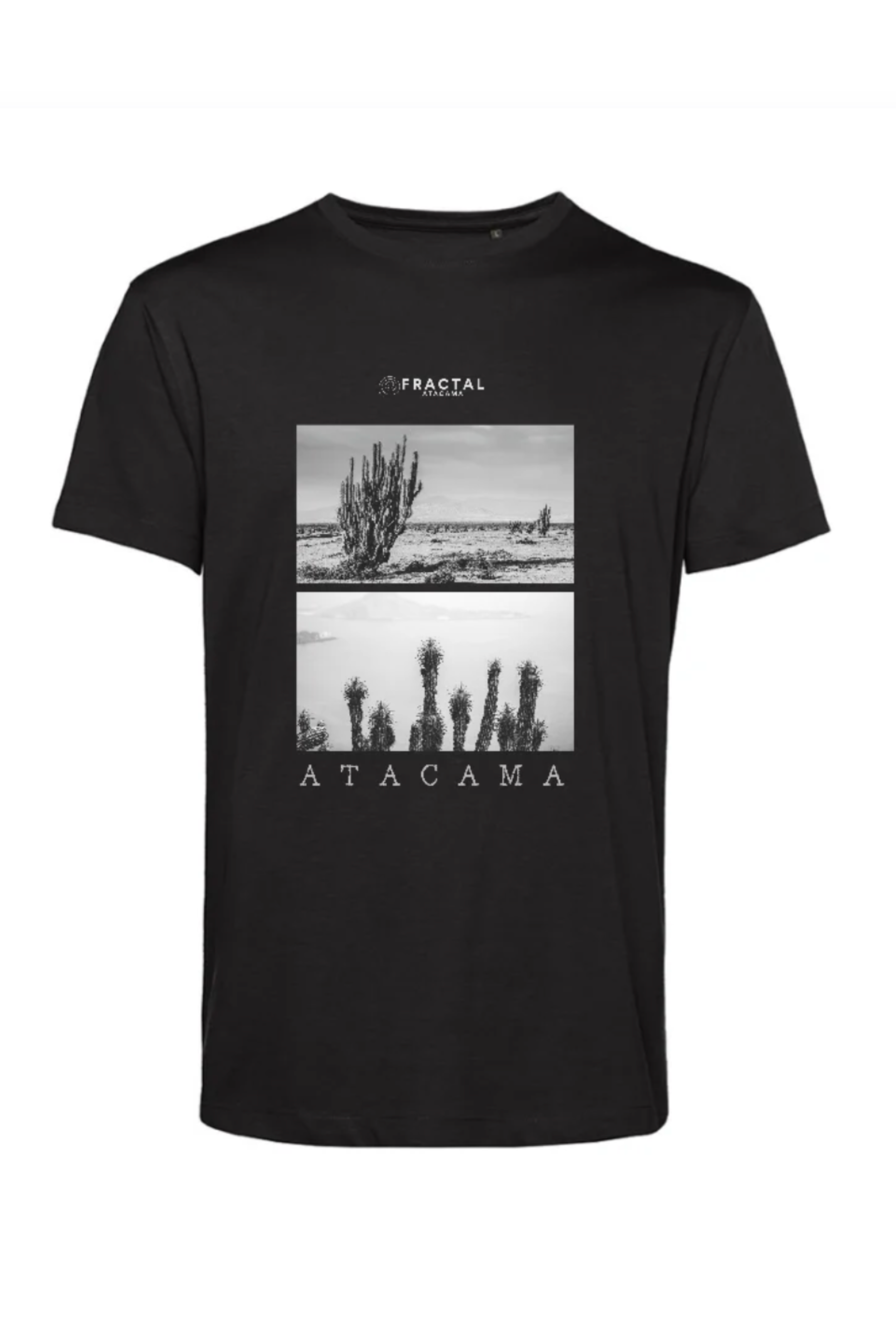 Polera Cáctus
