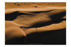 Sombras II