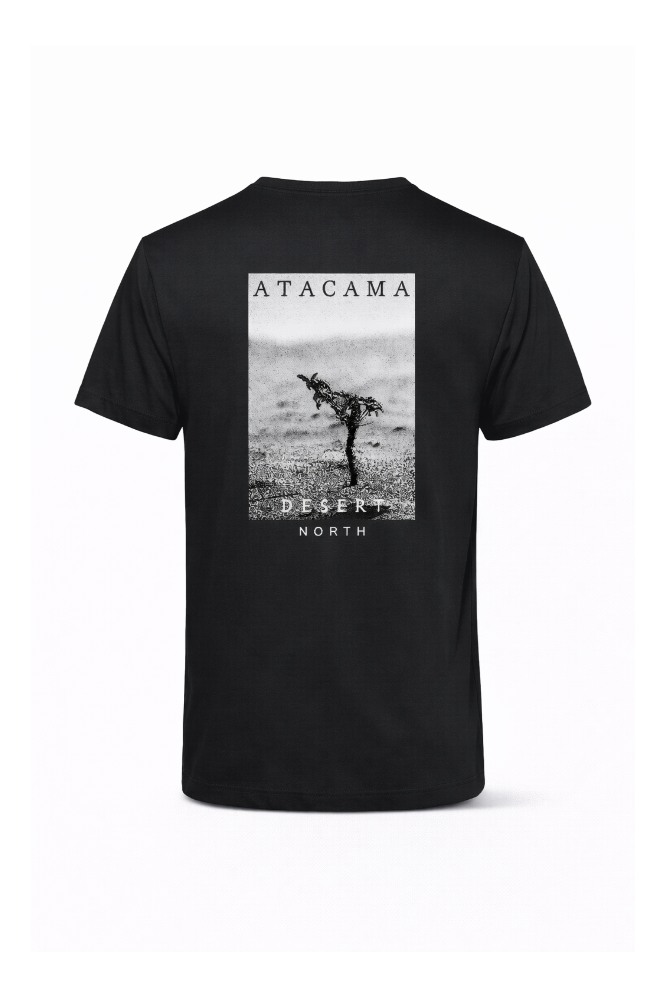 Polera desert north