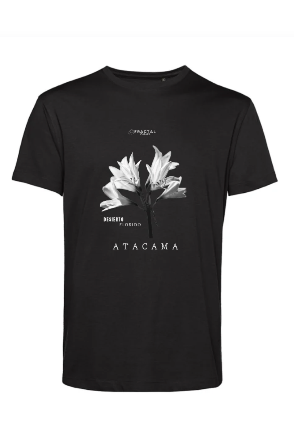 Polera Añañuca