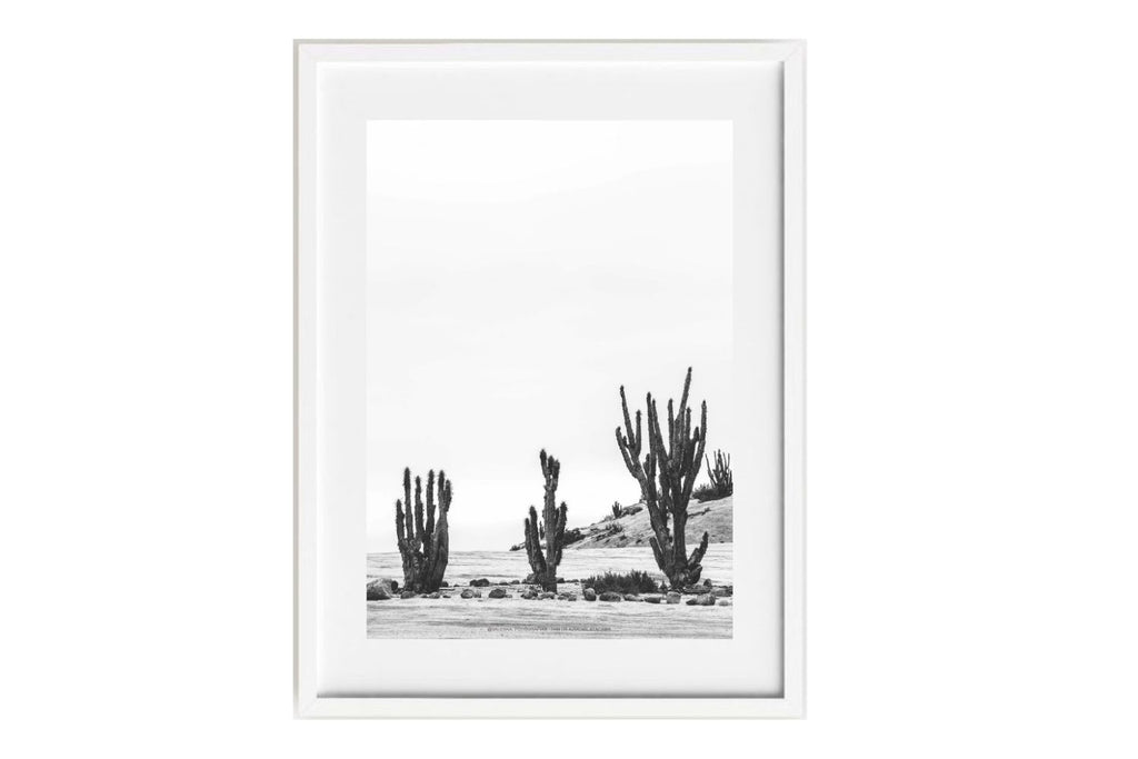 La danza de los cactus, Atacama, Chile