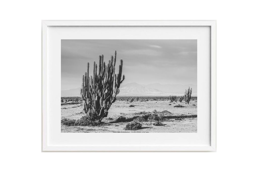 Tololo Pampa, Atacama, Chile