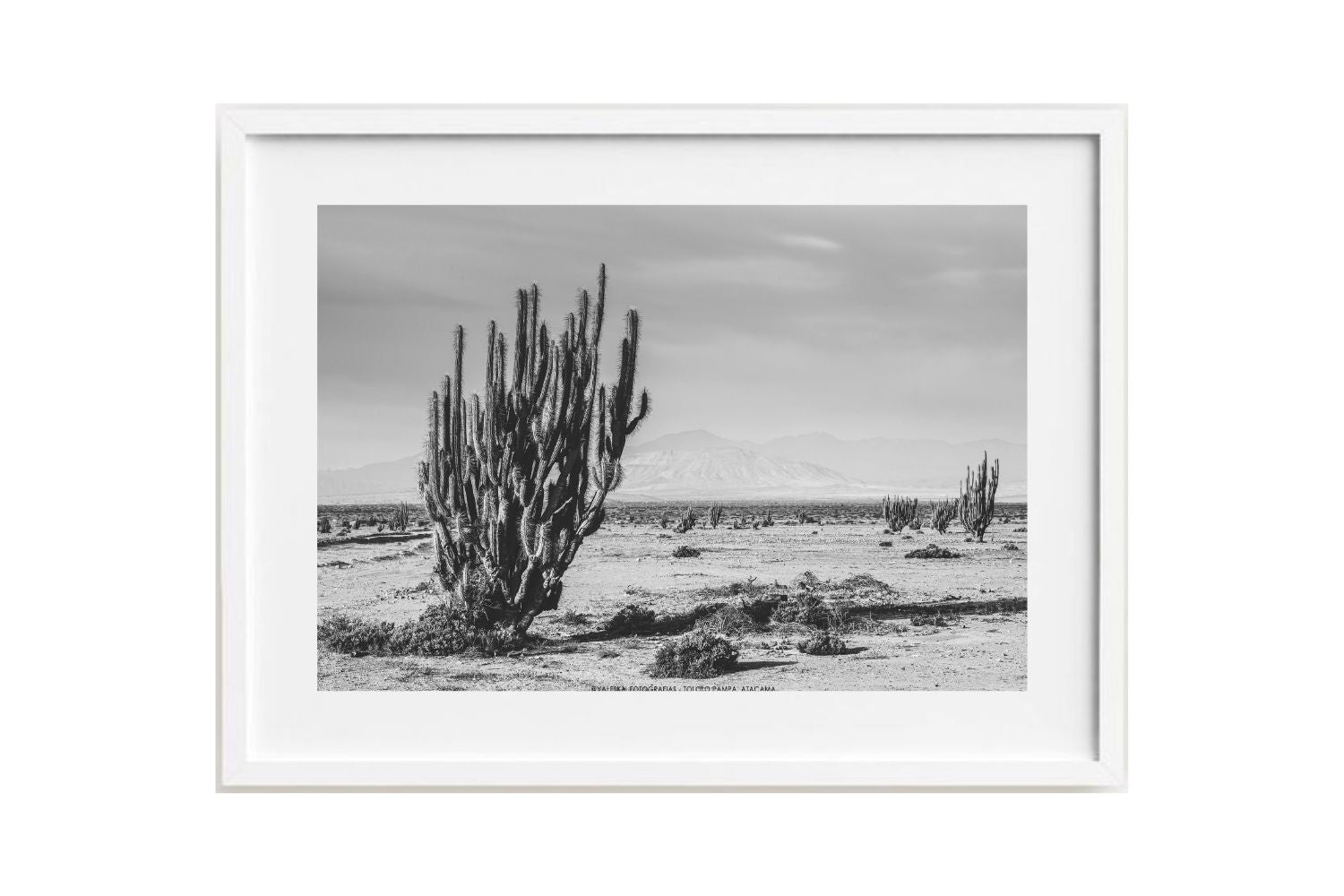Tololo Pampa, Atacama, Chile