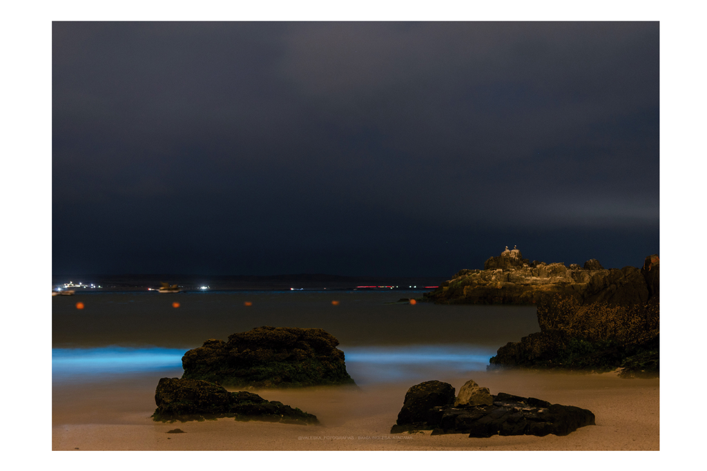 Bioluminiscencia Bahiana