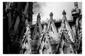 Basílica de la Sagrada Familia, Barcelona, España