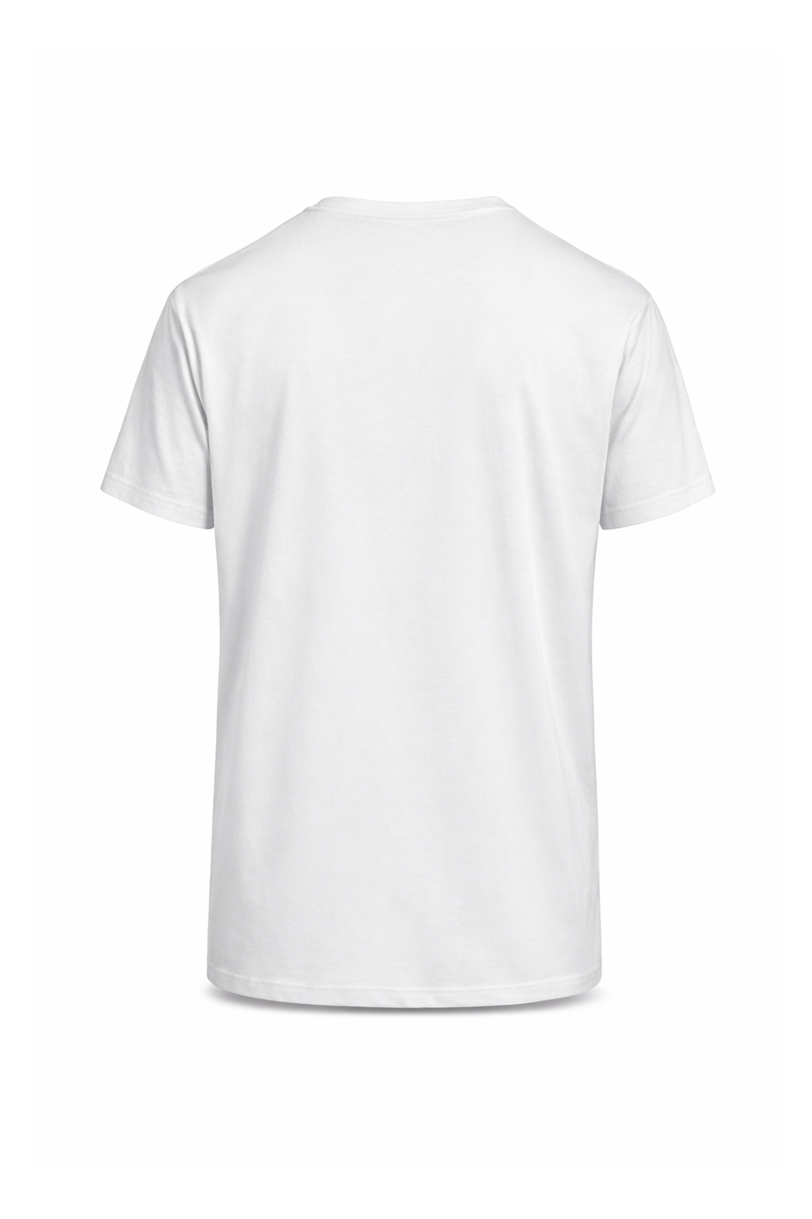 Polera Danza de los cáctus