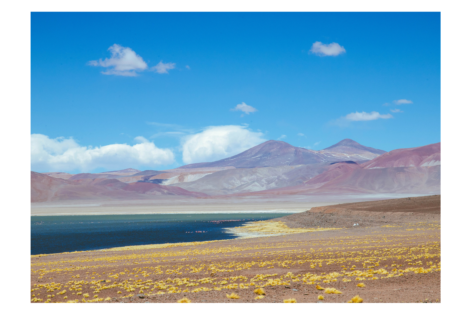 Laguna Negro Francisco