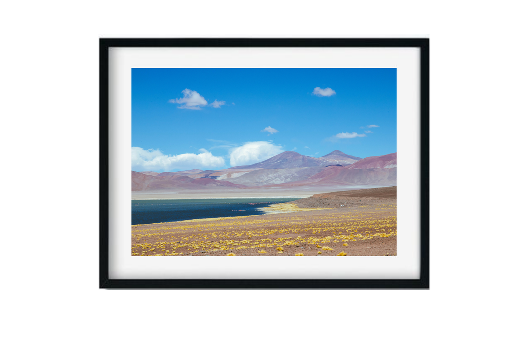 Laguna Negro Francisco