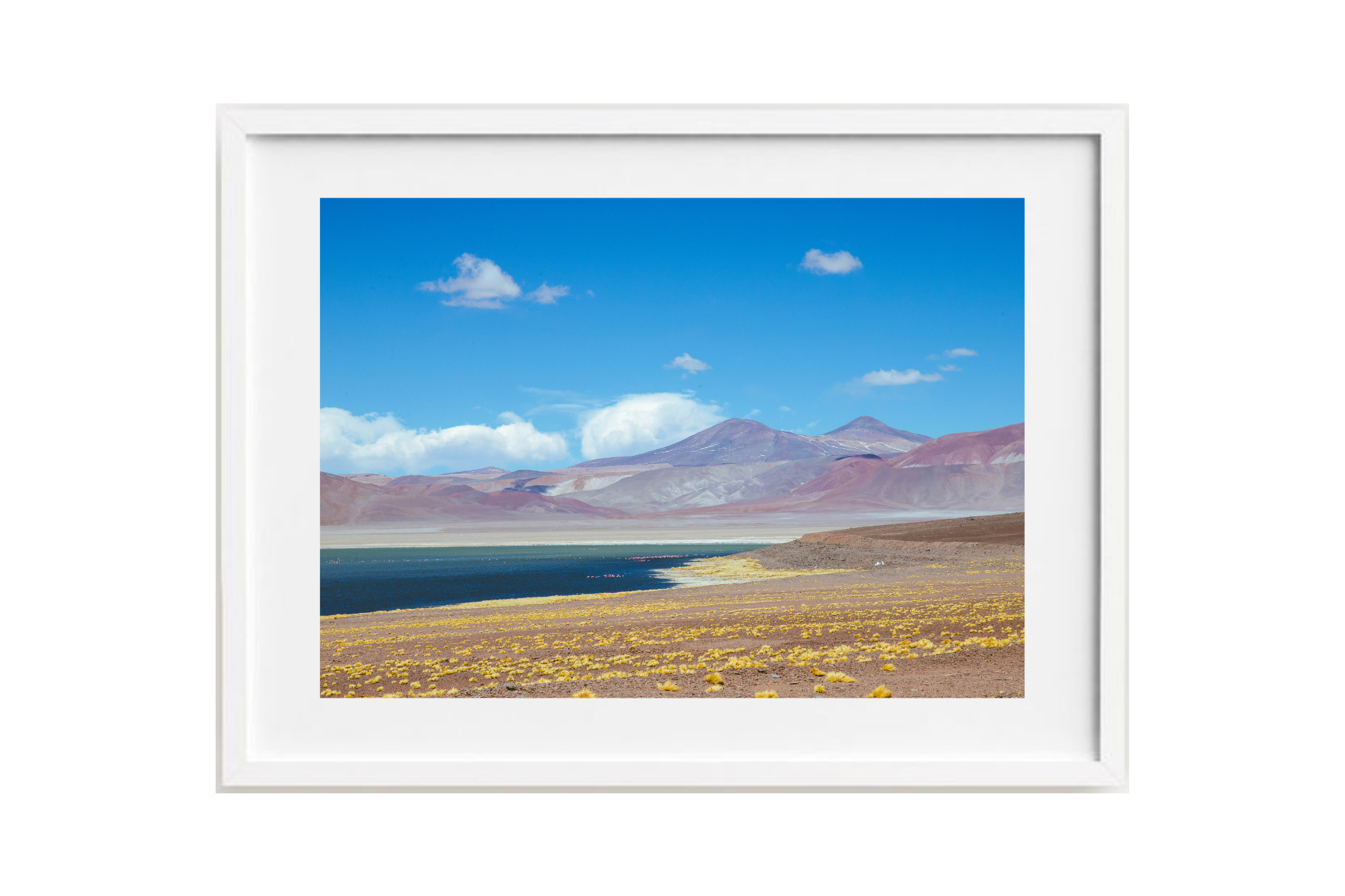 Laguna Negro Francisco