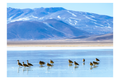 Laguna Santa Rosa