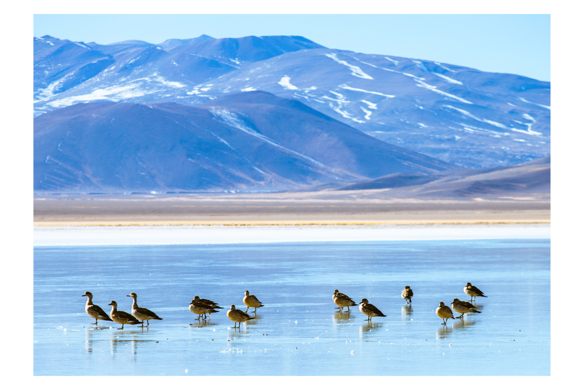 Laguna Santa Rosa