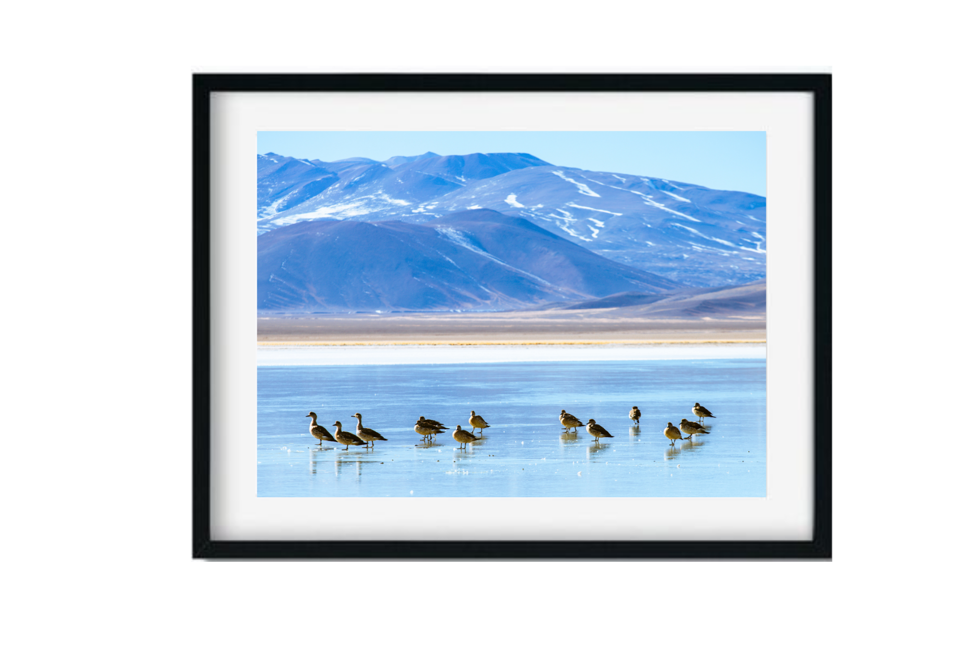 Laguna Santa Rosa