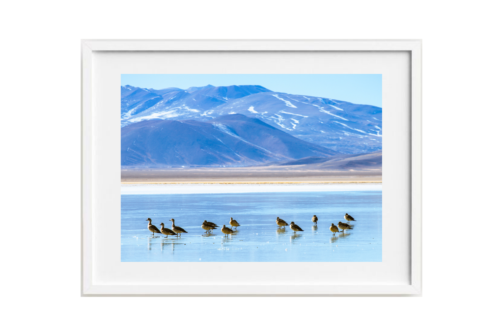 Laguna Santa Rosa