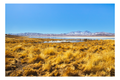 Laguna Santa Rosa III