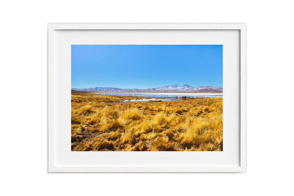 Laguna Santa Rosa III
