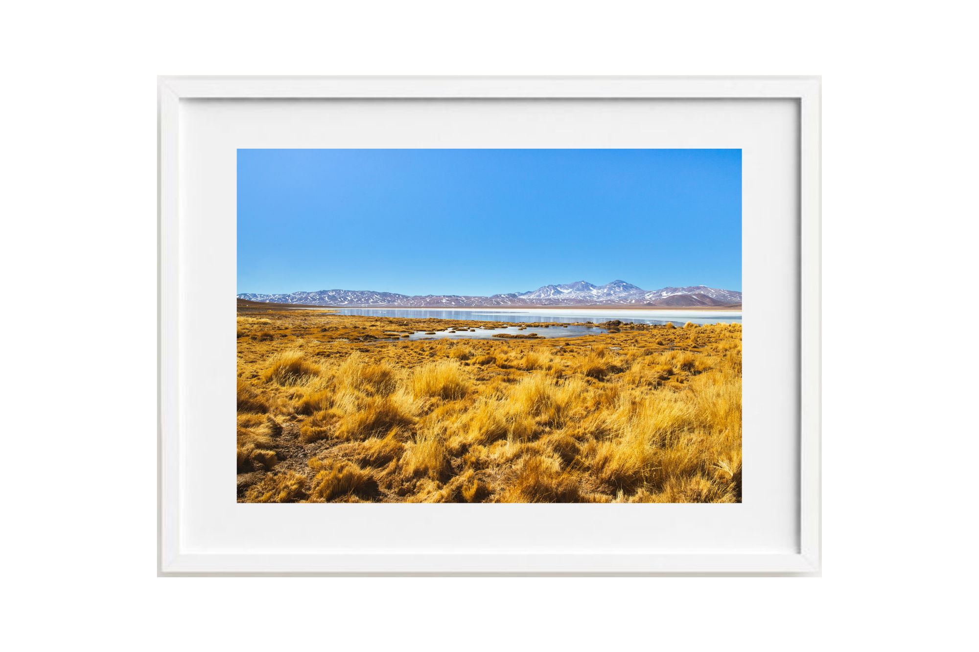 Laguna Santa Rosa III