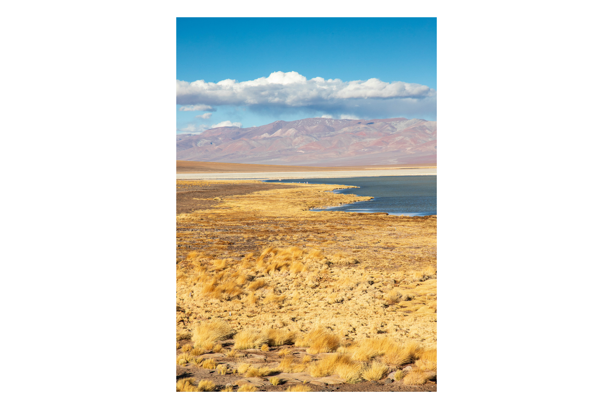 Laguna Santa Rosa IV