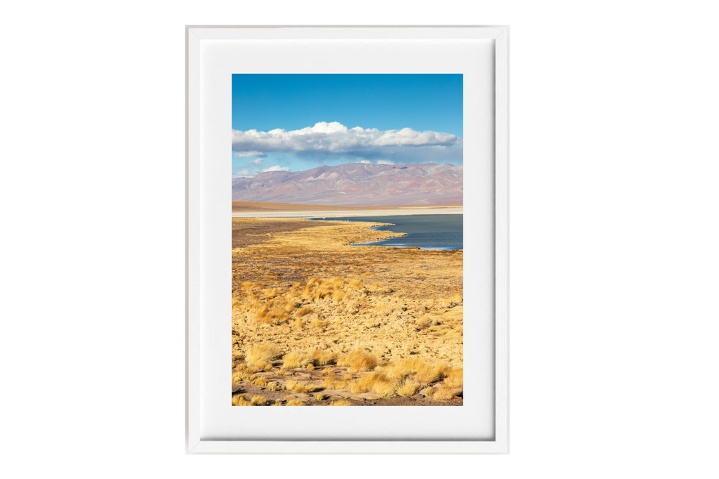 Laguna Santa Rosa IV