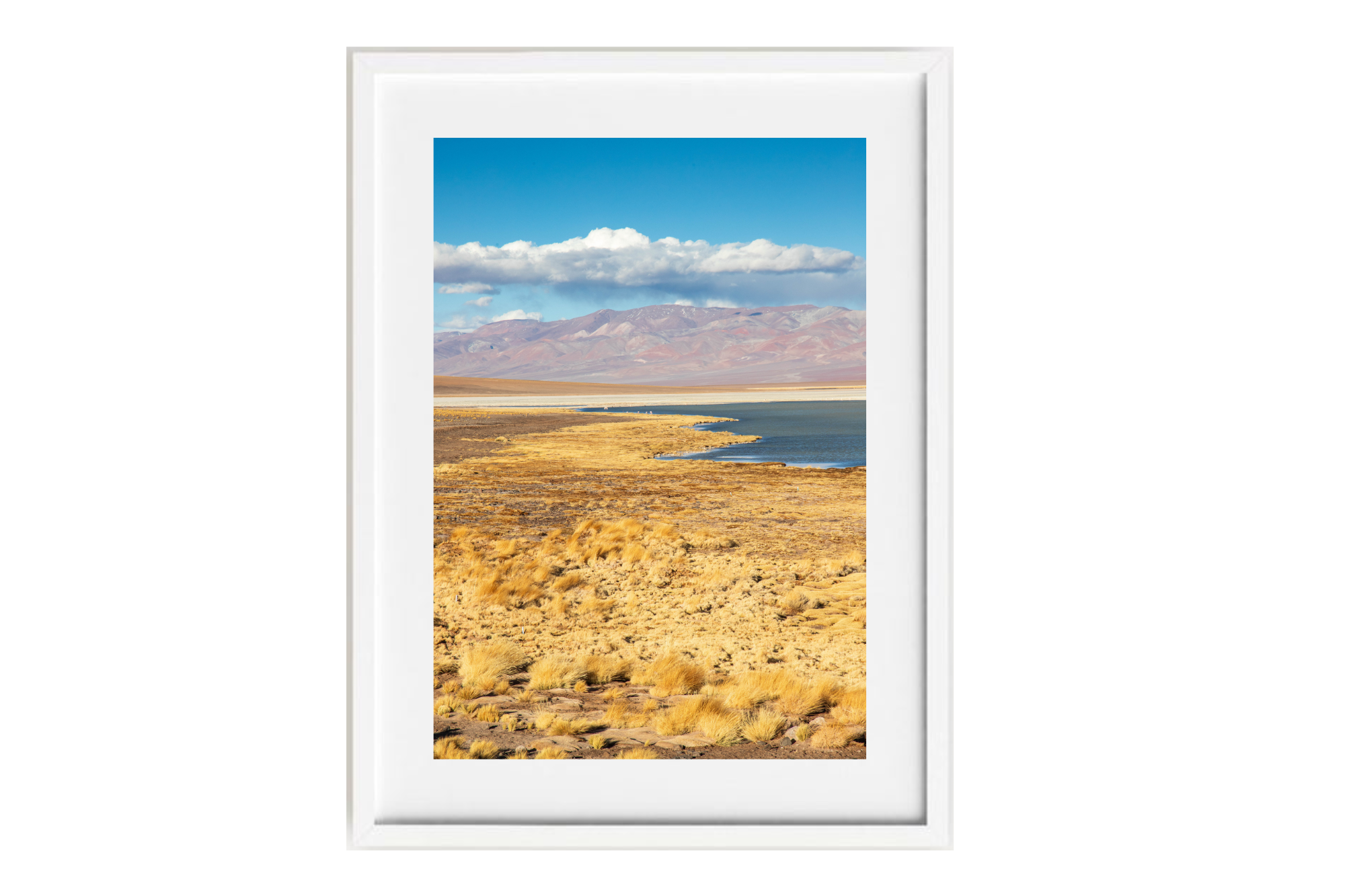 Laguna Santa Rosa IV