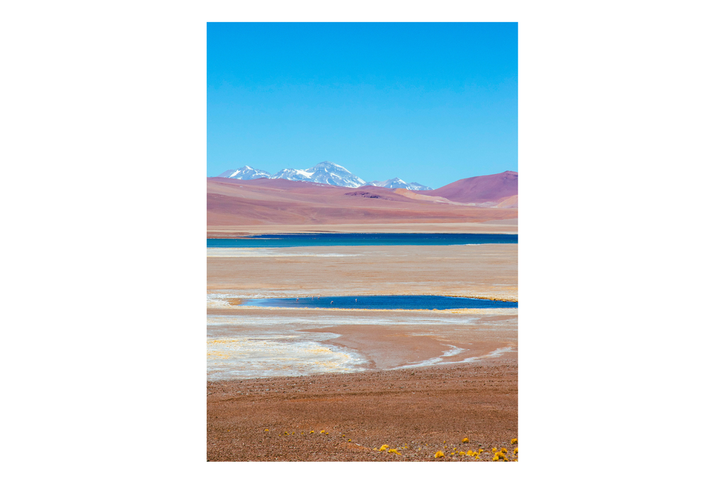 Laguna Negro Francisco II