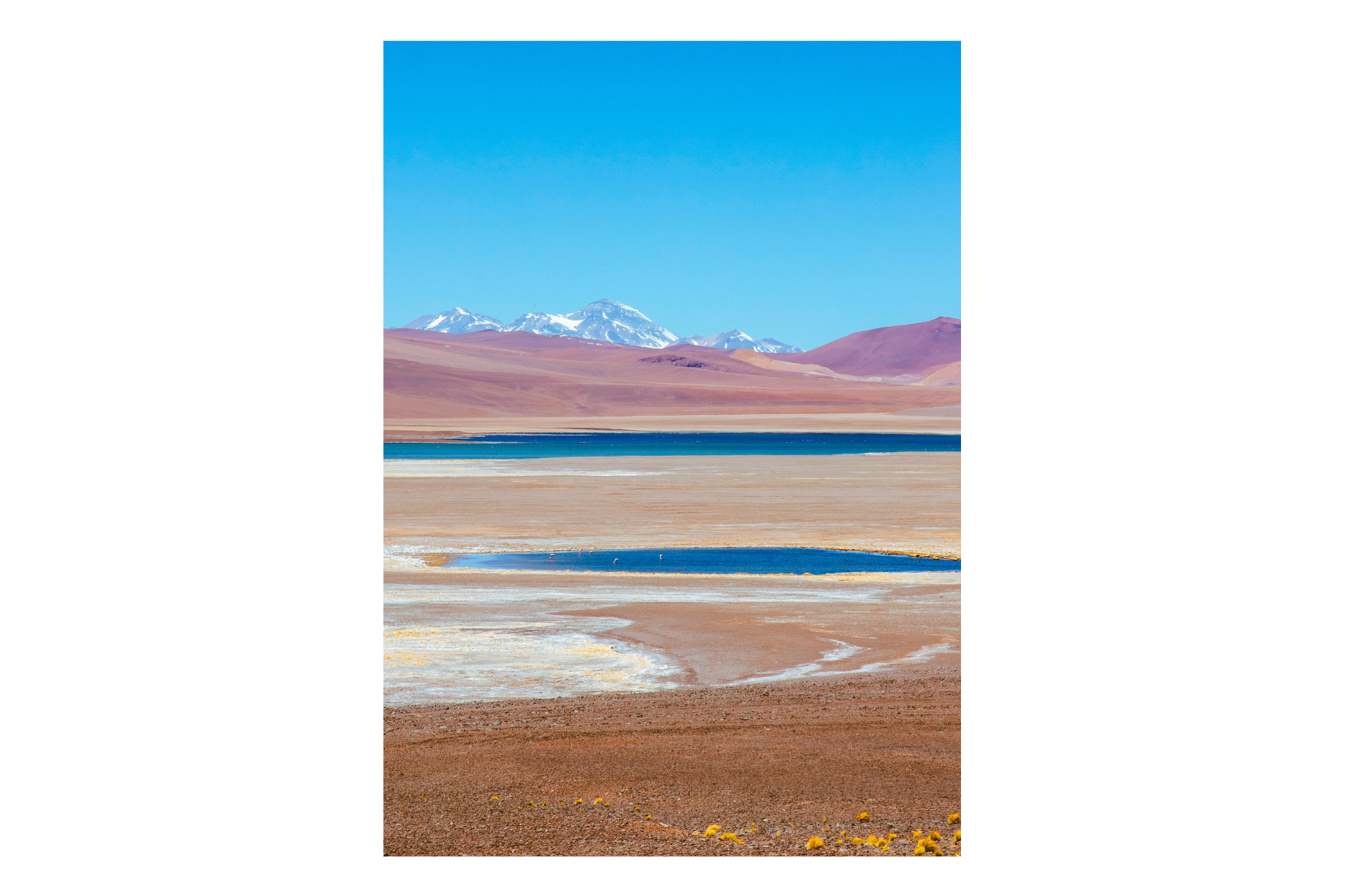 Laguna Negro Francisco II