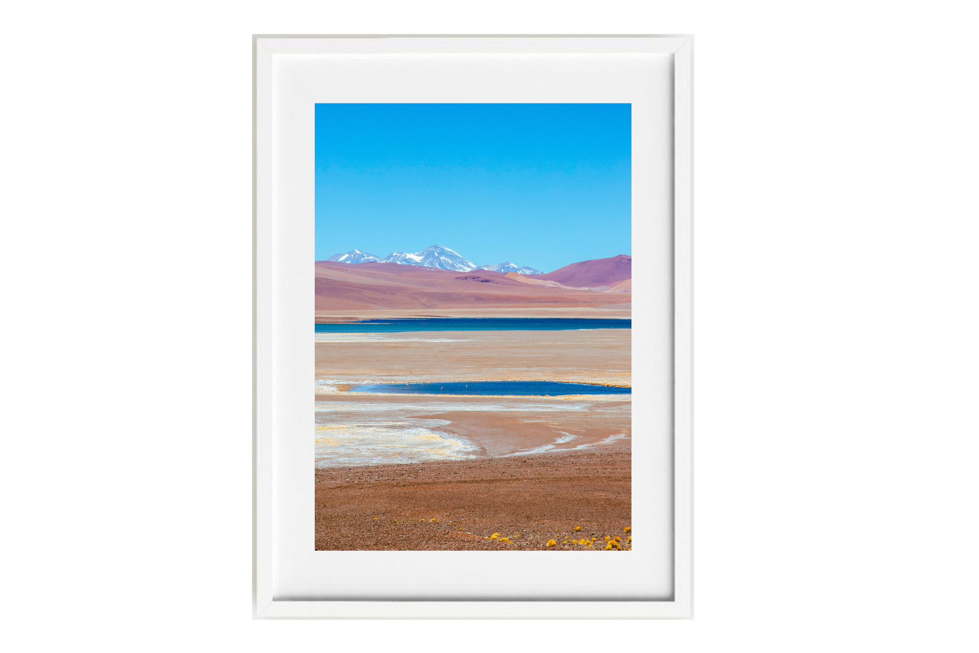 Laguna Negro Francisco II