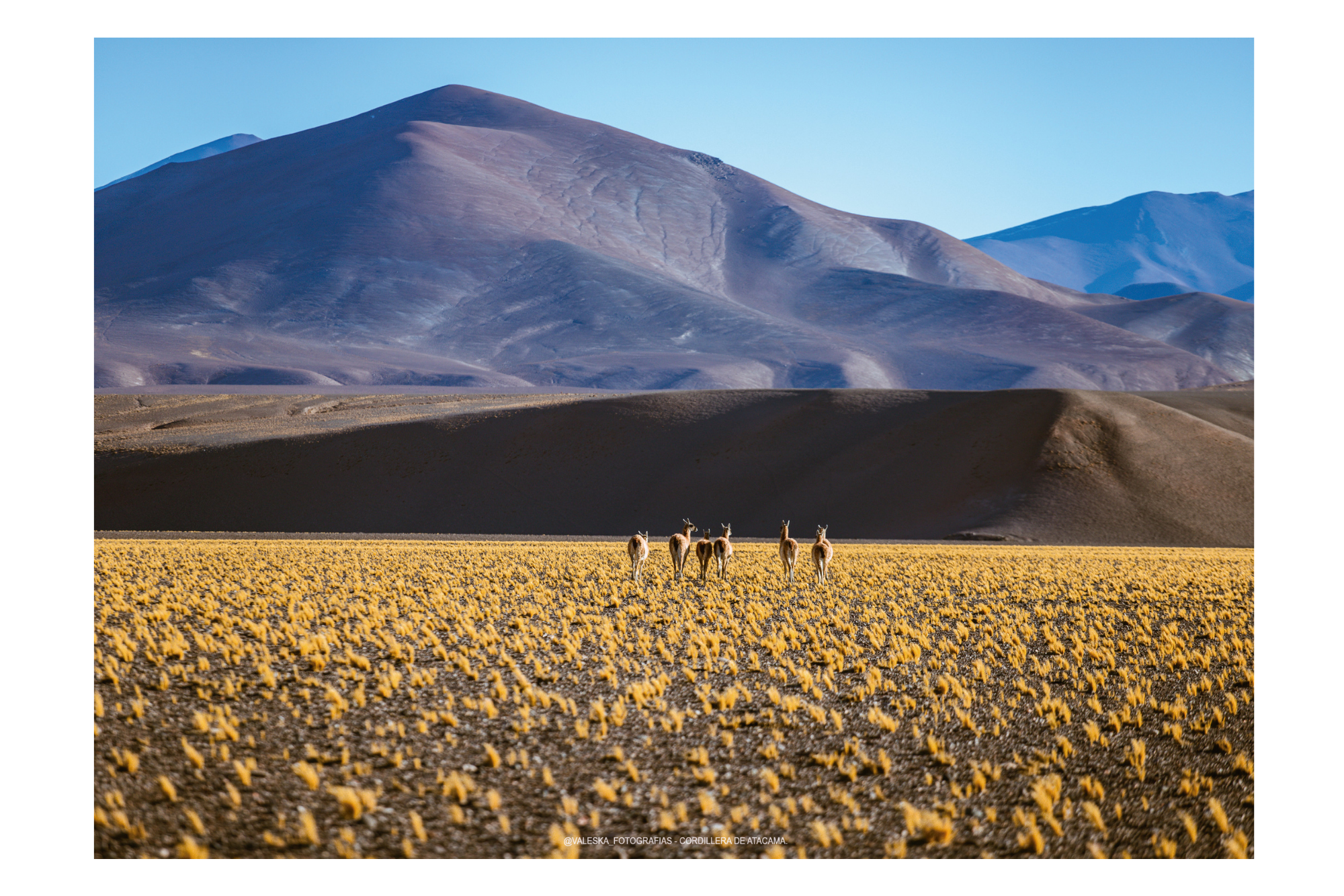Parque Nacional Nevado Tres Cruces II