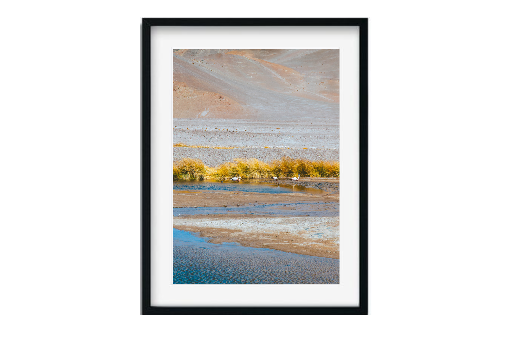 Parque Nacional Nevado Tres Cruces III