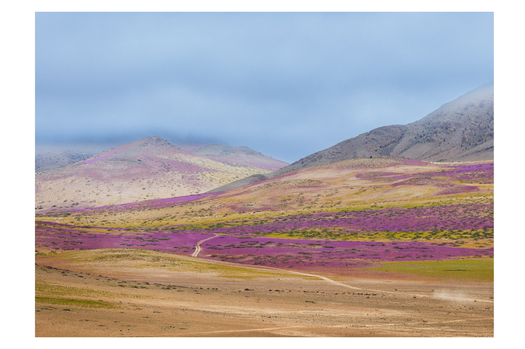 Florido entre cerros