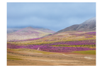 Florido entre cerros