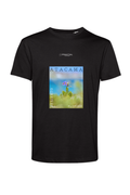 Polera Desierto Florido, Atacama
