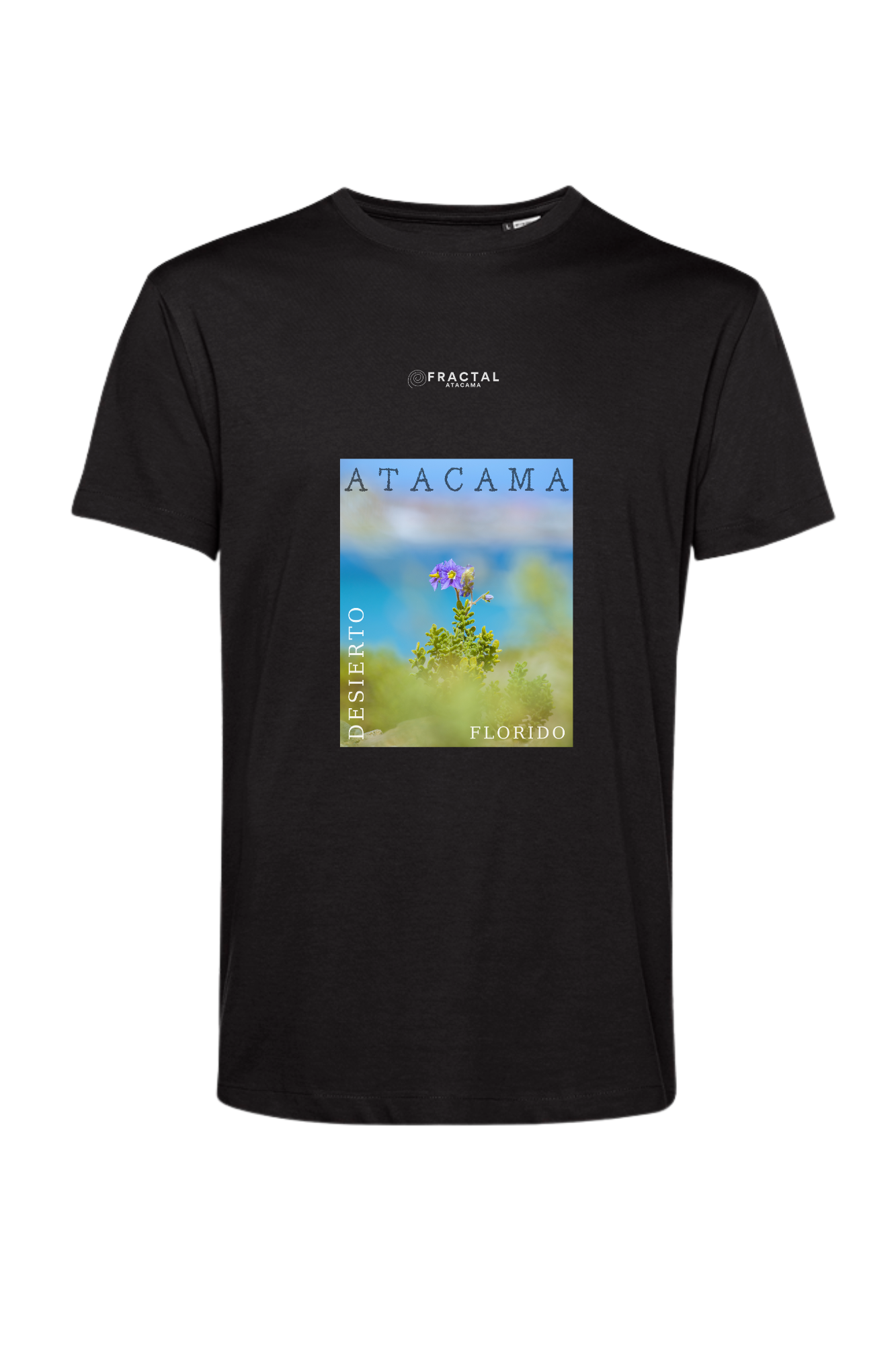 Polera Desierto Florido, Atacama