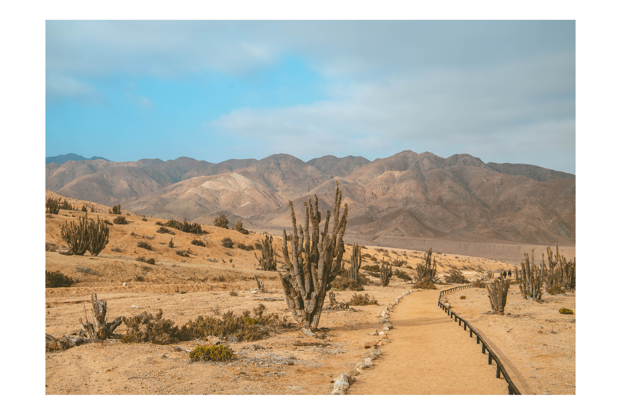 Sendero Pan de Azúcar